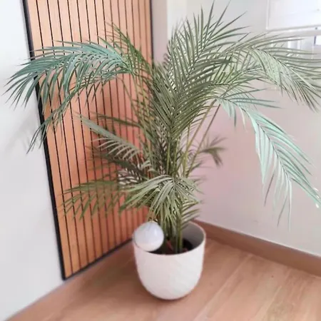 Apartment Medano Garden